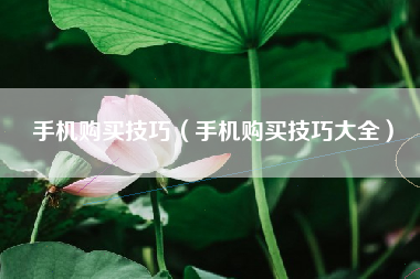 手机购买技巧（手机购买技巧大全）