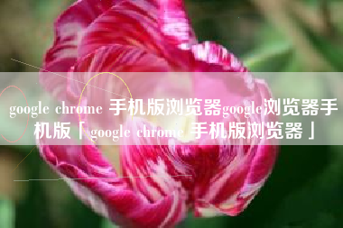 google chrome 手机版浏览器google浏览器手机版「google chrome 手机版浏览器」