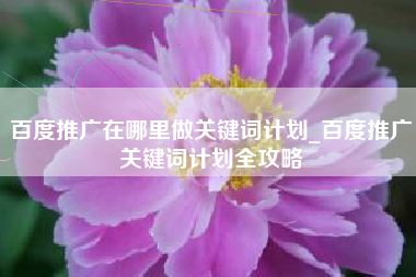百度推广在哪里做关键词计划_百度推广关键词计划全攻略