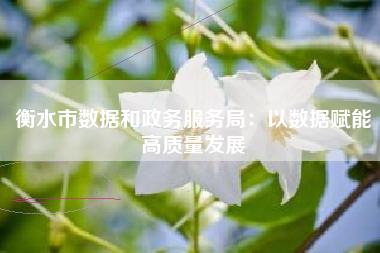 衡水市数据和政务服务局：以数据赋能高质量发展